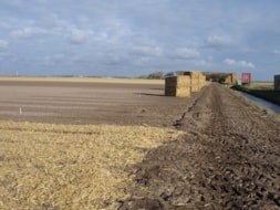 Covering the fields with Straw